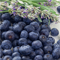 Blueberry Lavender & Chamomile* Fragrance Oil 1240