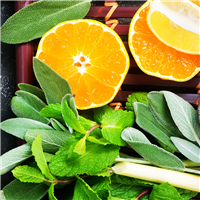 Sage & Citrus* Fragrance Oil 445