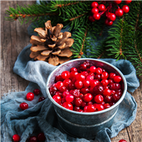 Holly Berry Balsam Fragrance Oil 503