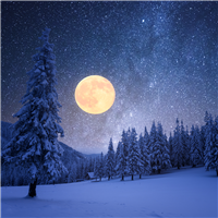 Winter Moon Fragrance Oil 1129