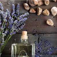 Lavender & Cedar Leaf Fragrance Oil 1087