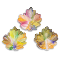 Tie Dye Autumn Leaves Melt & Pour Soap Kit