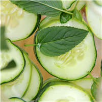 Cucumber Mint Fragrance Oil 312