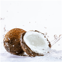 Coconut Water Essential Hydrosol