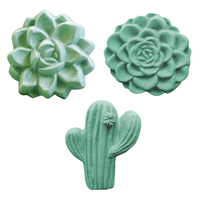 Succulent Soap Mold Collection