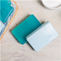 Winterberry Walk MP Soap Making Kit