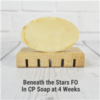 Beneath the Stars Fragrance Oil 341