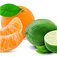 Lime, Basil, Mandarin* - EO & FO Blend 418