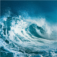 Ocean Water* Fragrance Oil 439