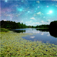 Mid Summers Night* Fragrance Oil 454
