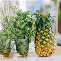 Pineapple Cilantro Fragrance Oil 788