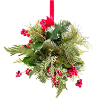 Mistletoe* Fragrance Oil 567