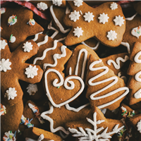 Gingerbread Cookie - EO & FO Blend 511