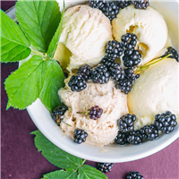 Black Raspberry Vanilla* - EO & FO Blend 89
