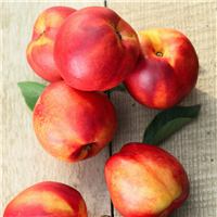 Peach Jubilee Fragrance Oil 389
