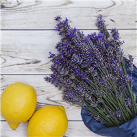 Lemon Lavender* Fragrance Oil 176