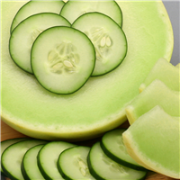 Cucumber Melon Fragrance Oil 122