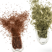 Sage & Cinnamon* Fragrance Oil 580