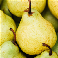 Sweet Juicy Pear Fragrance Oil 231