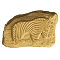 African Animal Petroglyphs Soap Mold (Spec Order)