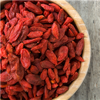 Goji Berry Bliss Fragrance Oil 557