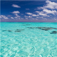 South Pacific Waters Fragrance Oil 564