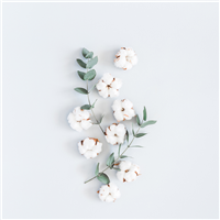 Sun Dried Cotton Fragrance Oil 471