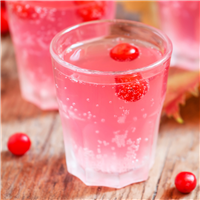Cranberry Fizz Fragrance Oil 356