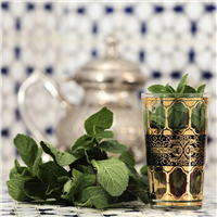 Moroccan Mint Fragrance Oil 430