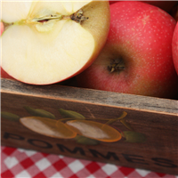 Gingham Apple* Fragrance Oil 758