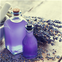 Fabuloso Lavender* Fragrance Oil 386