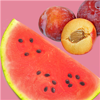 Pink Watermelon Apricot FO 578