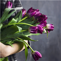 Wild Berry Tulips* Fragrance Oil 603