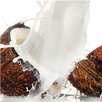 Coconut Milk Fragrance Oil 821