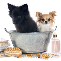 Pet Shampoo