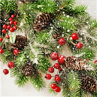 Christmas Woods Fragrance Oil 764