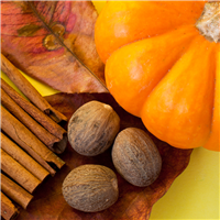 Spiced Pumpkin Fragrance Oil 776