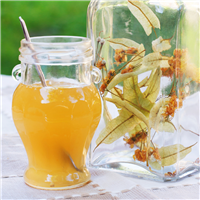 Honey & Patchouli Fragrance Oil 509