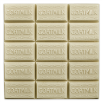 Goat Milk Guest Tray Soap Mold (MW 09)