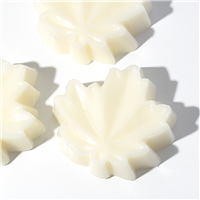 Cocoa & Hazelnut Lotion Bar Kit