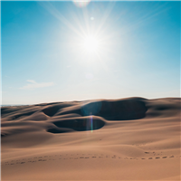 Desert Santal Fragrance Oil 326
