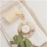 Eucalyptus & Spearmint Shower Steamer Kit