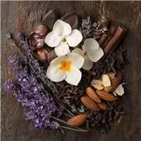F*cking Fabulous* Fragrance Oil 658