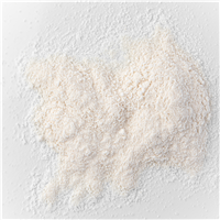 Boric Acid Powder