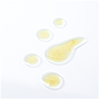 Moringa Seed Oil