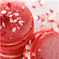Peppermint Macaron Fragrance Oil 797