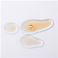 Rose Hip Extract - Water Soluble