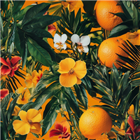 Tropic Tangerine Fragrance Oil 329