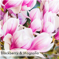 Valentine’s 2022 Fragrance Oil Collection