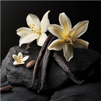 Vanilla Sex* Fragrance Oil 769